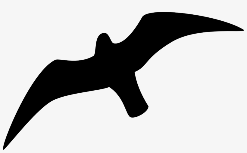 Small - Seagull Outline, transparent png