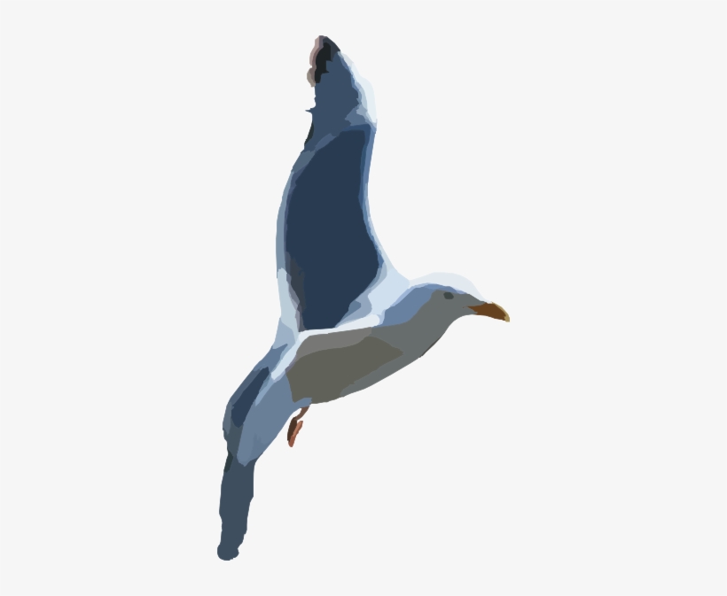 How To Set Use Seagull Clipart, transparent png