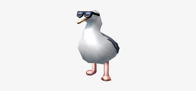 Too Cool Seagull - Portable Network Graphics, transparent png