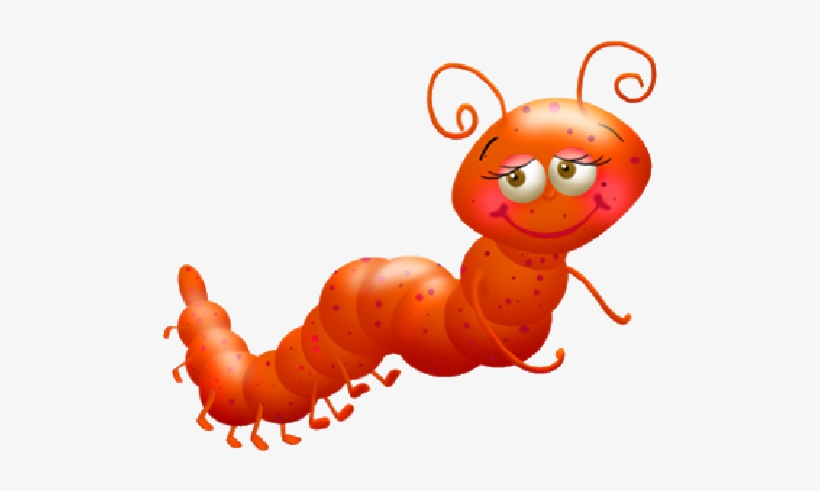 Png Transparent Image Source - Orange Caterpillar Clipart, transparent png