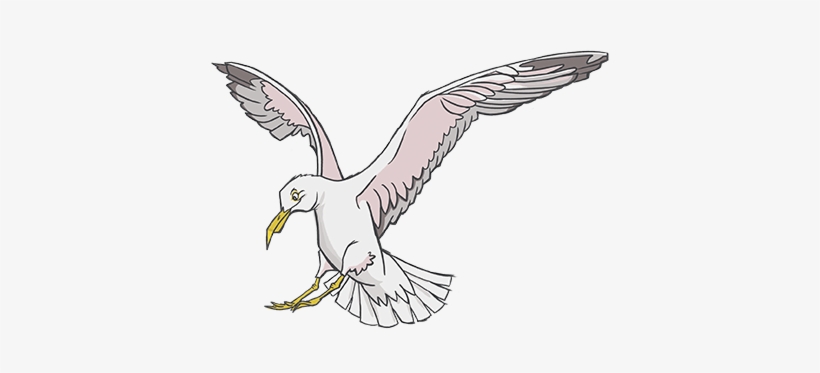 Seagull - Portable Network Graphics, transparent png