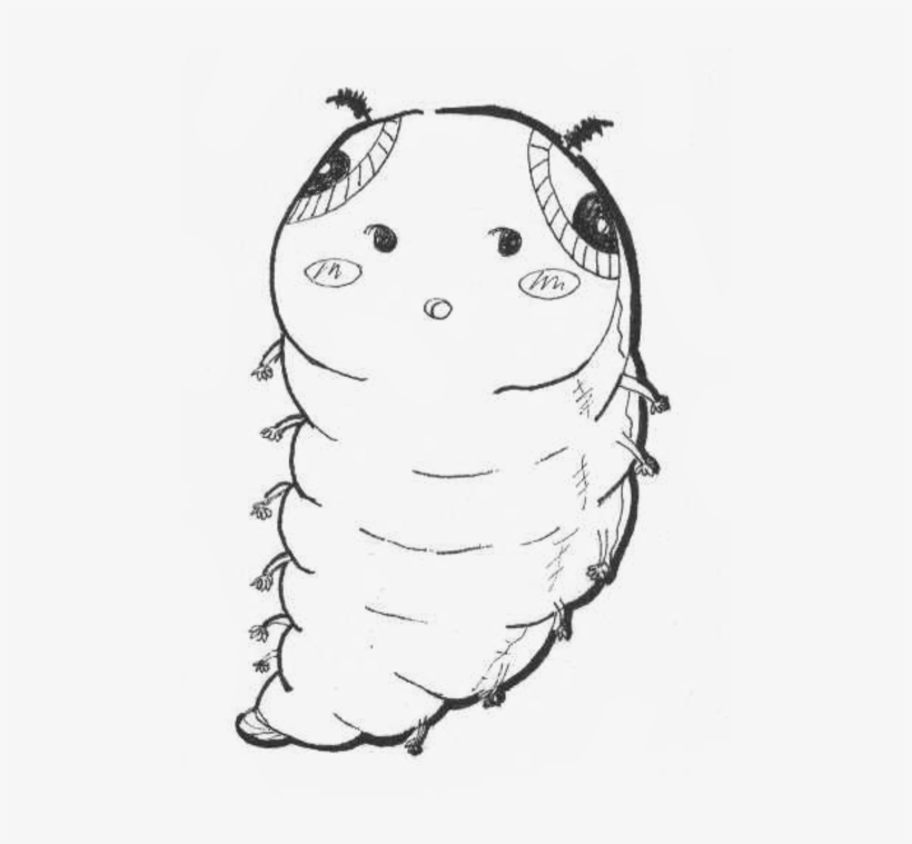 Caterpillar, transparent png