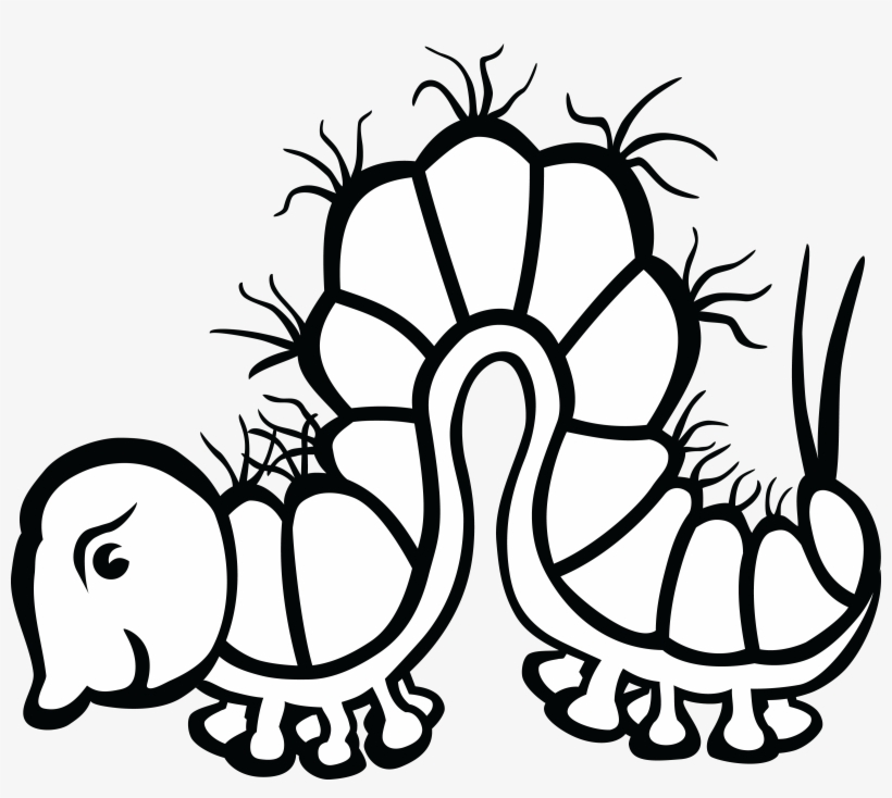 , , - Line Drawing Of A Real Caterpillar, transparent png