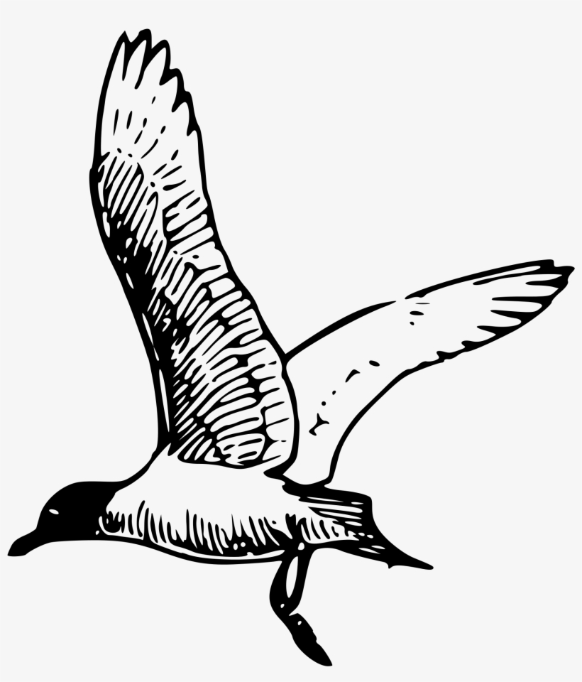 Clip Art, transparent png