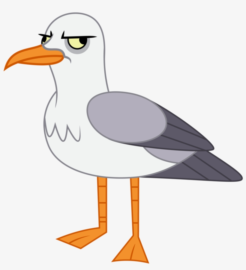 Amarthgul, Bird, Safe, Seagull, Simple Background, - Seagull Clear Background, transparent png