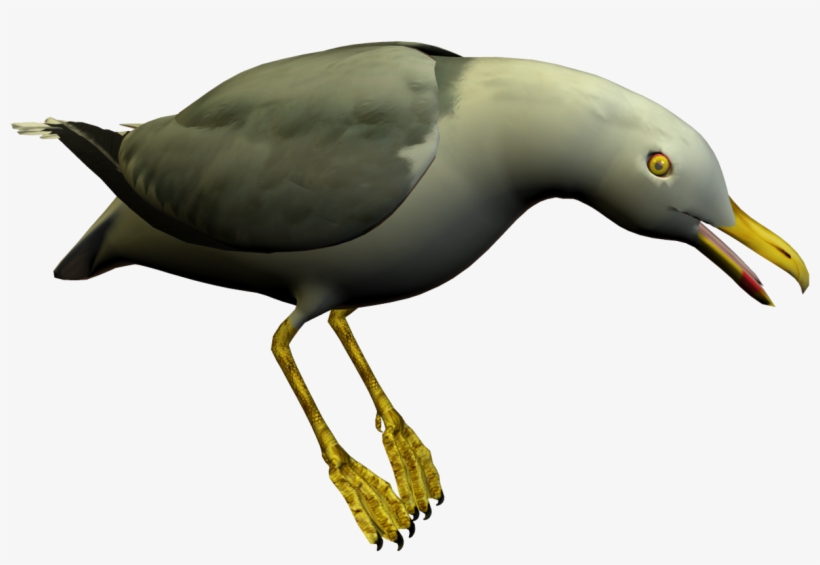 Seagull Clipart Free To Use Clip Art Resource - Clip Art, transparent png