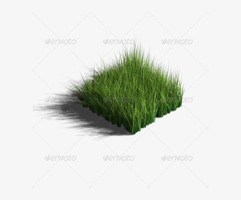 4 Dirt 05 - Sweet Grass, transparent png