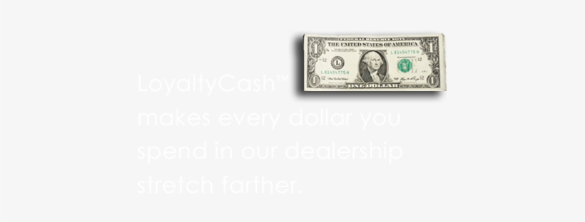 Stretch-dollars - Dollar Bill, transparent png