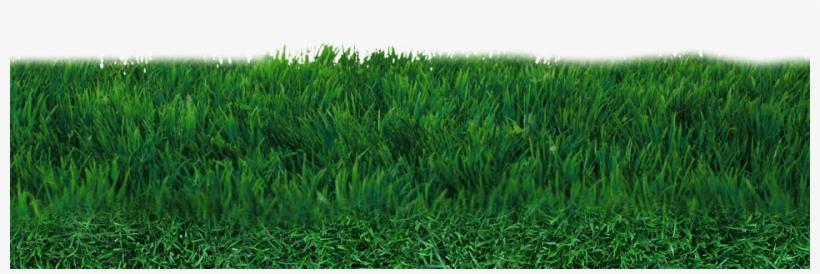 Field Png Transparent - Transparent Soccer Field Png, transparent png
