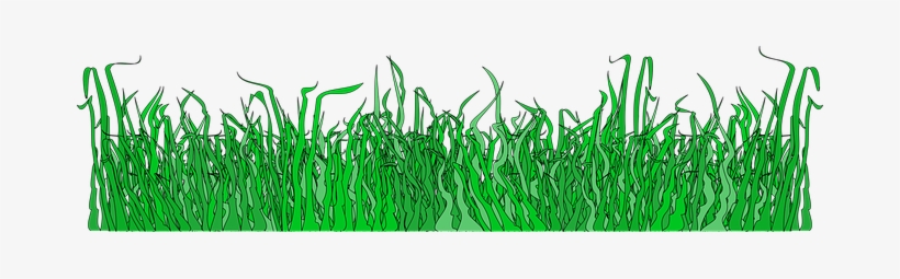 Border Divider Grass Grass Grass Grass Gra - Grass Icons, transparent png