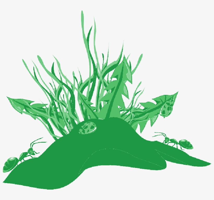 Mb Image/png - Ants Clip Art, transparent png