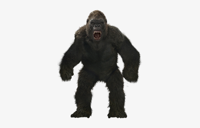"king" Kong - Https - //static - Tvtropes - Org/pmwiki/pub/images/ - King Kong Height 2017, transparent png