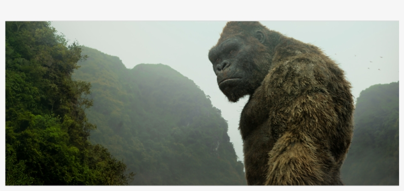 Why Vietnam Was The Perfect Location For Kong - King Kong Kong Skull Island, transparent png