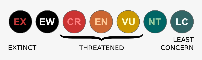 14, 21 December 2006 - Endangered Species Classification, transparent png