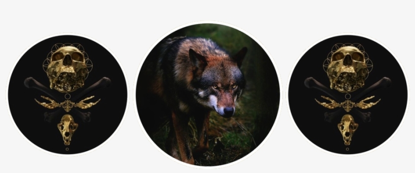 Welwyn Aesthetic Circles - Should I Apologize For The Monster I Have Become? No, transparent png