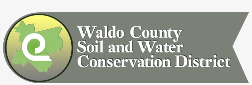 Waldo County Soil And Water Conservation District Conservation - Ant-man And The Wasp, transparent png