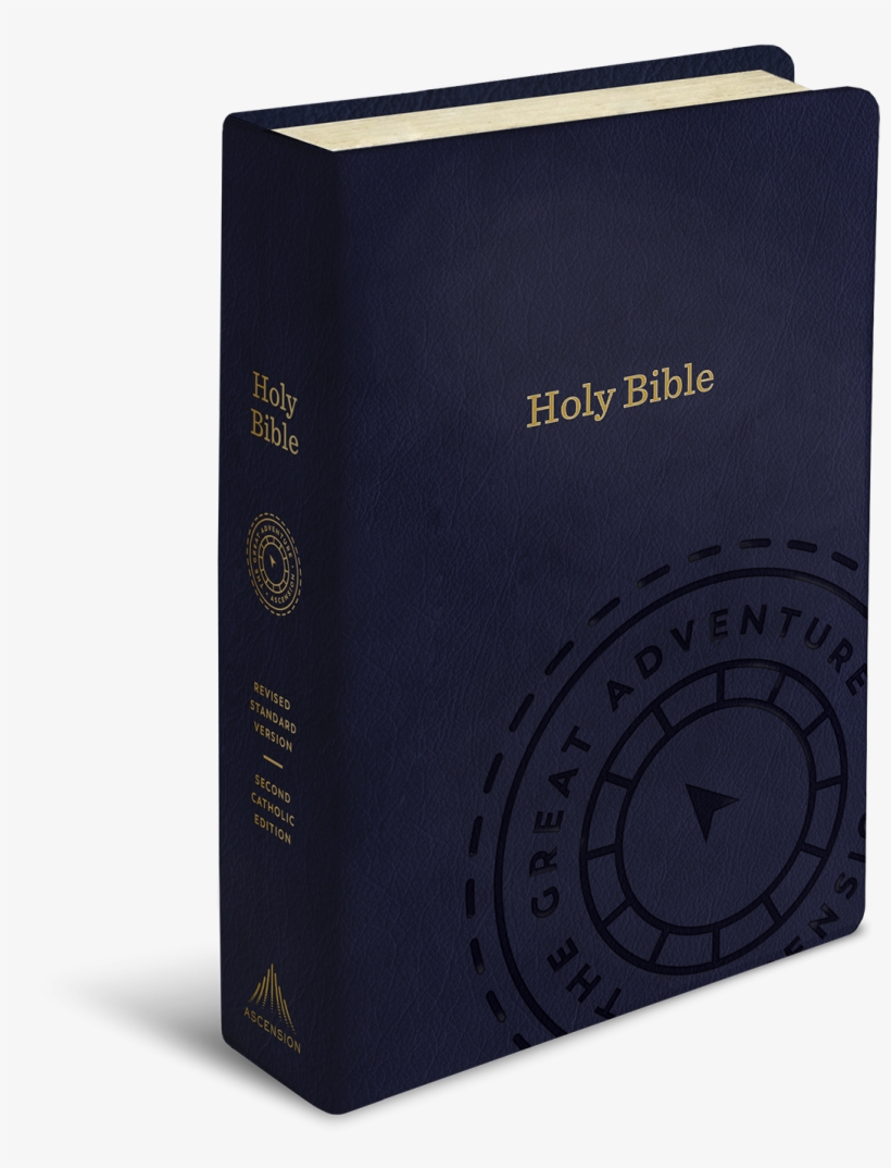 Each Of These Sections Has Its Own Color, And Every - Box, transparent png