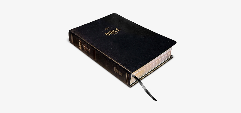 Download - Bible, transparent png