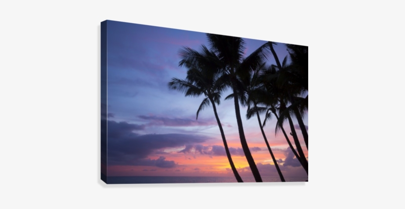 Palm Trees At Sunset, Keawekapu Beach - Printscapes Wall Art: 18" X 12" Canvas Print With Black, transparent png