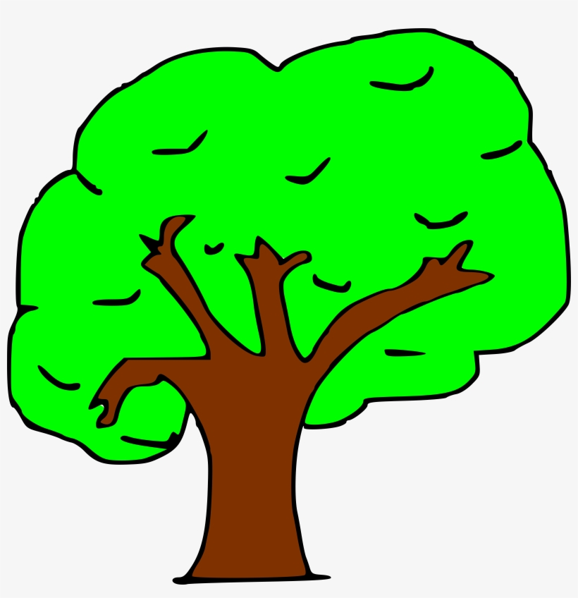 Arbol Png, transparent png