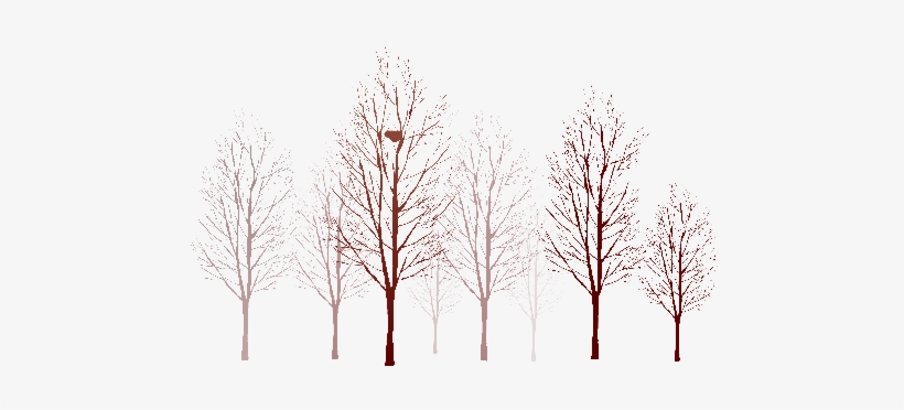Autumn Árboles Otoño - Mental Image, transparent png