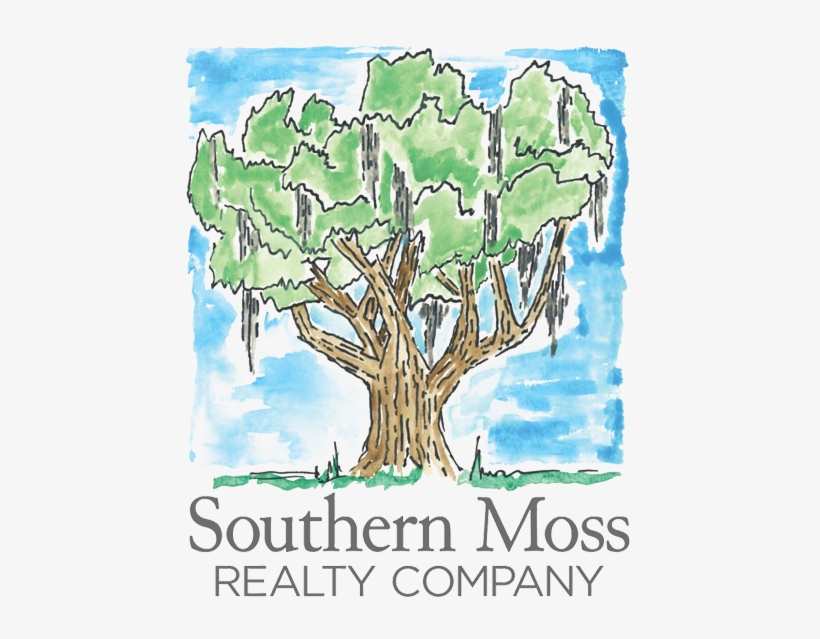 Moss Drawing Watercolor - Southern Moss Realty, transparent png