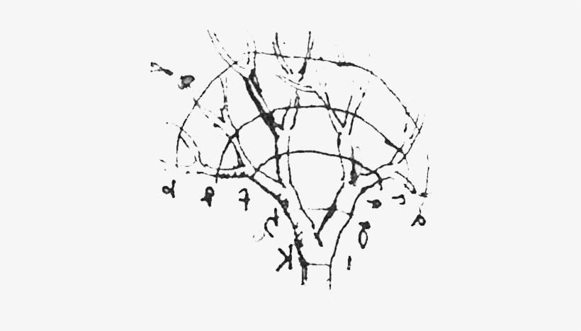 Gracias A Su Lectura Aprendimos Métodos Muy Interesantes - Leonardo Da Vinci Tree Sketch, transparent png