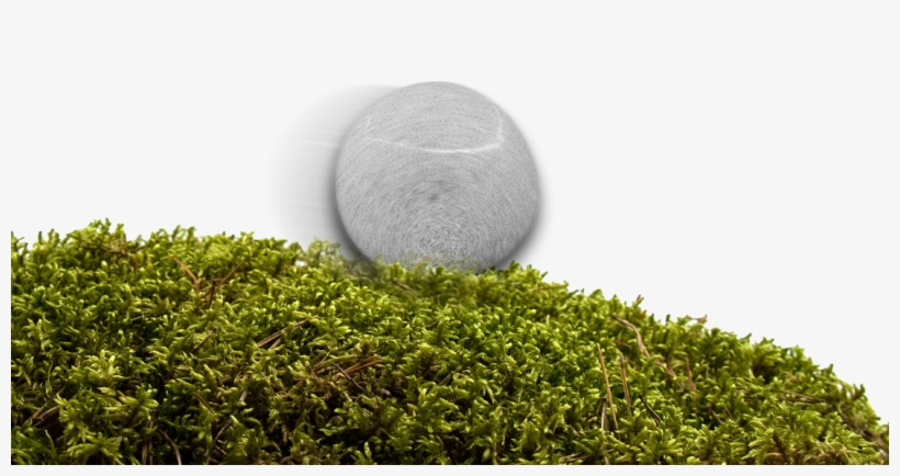 Rolling Stone Gathers No Moss, transparent png