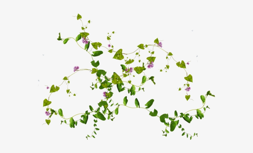 10 Plantas & Flores Libres Png Imágenes En Dzzyn - Green Plant Png, transparent png