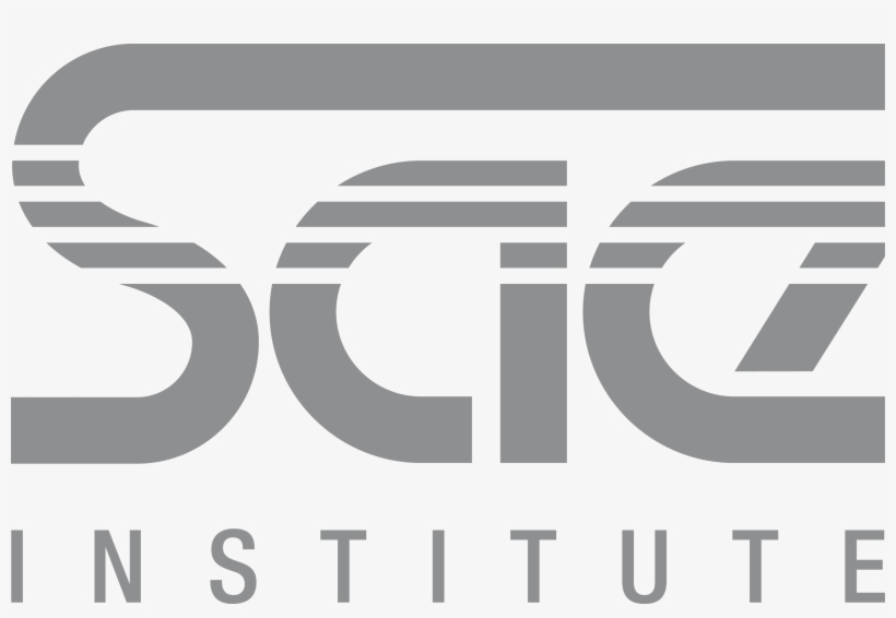 Grammy Logo Png - Sae Institute Logo Png, transparent png