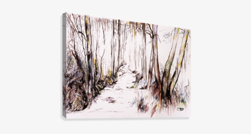 Woodland Stream Canvas Print - Birch, transparent png