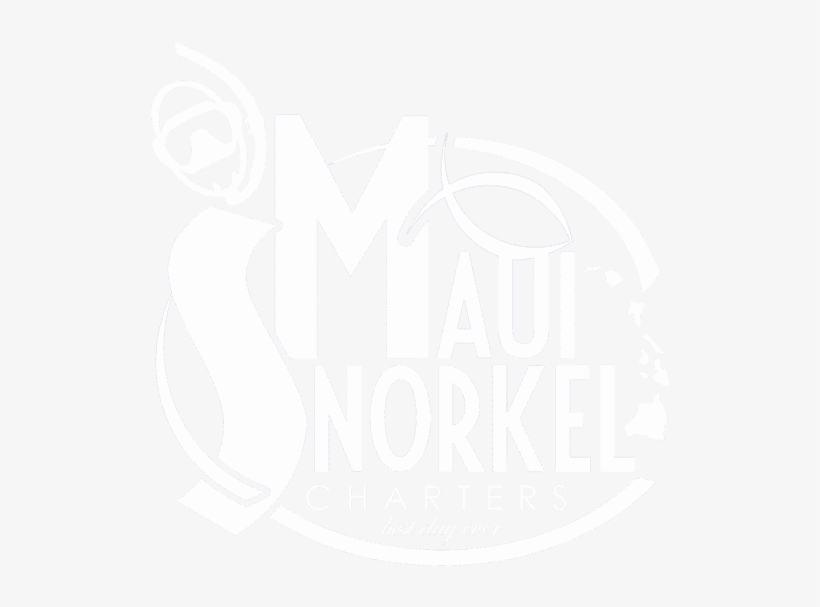 Maui Snorkel Charters Maui Snorkel Charters - Hawaii Rules Of Evidence; 2017 Edition, transparent png
