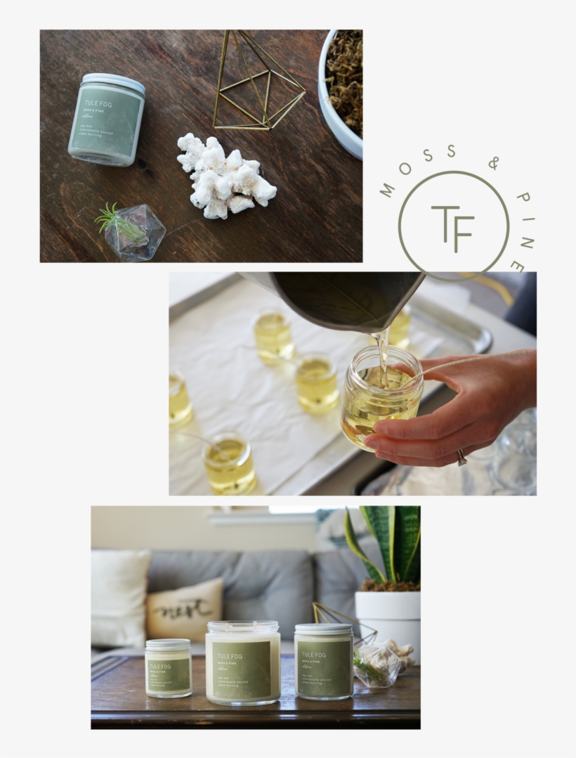 Moss Pine - Soy Candle, transparent png