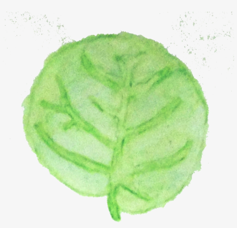 In The Meantime Sea Grape Leaves - Sketch, transparent png