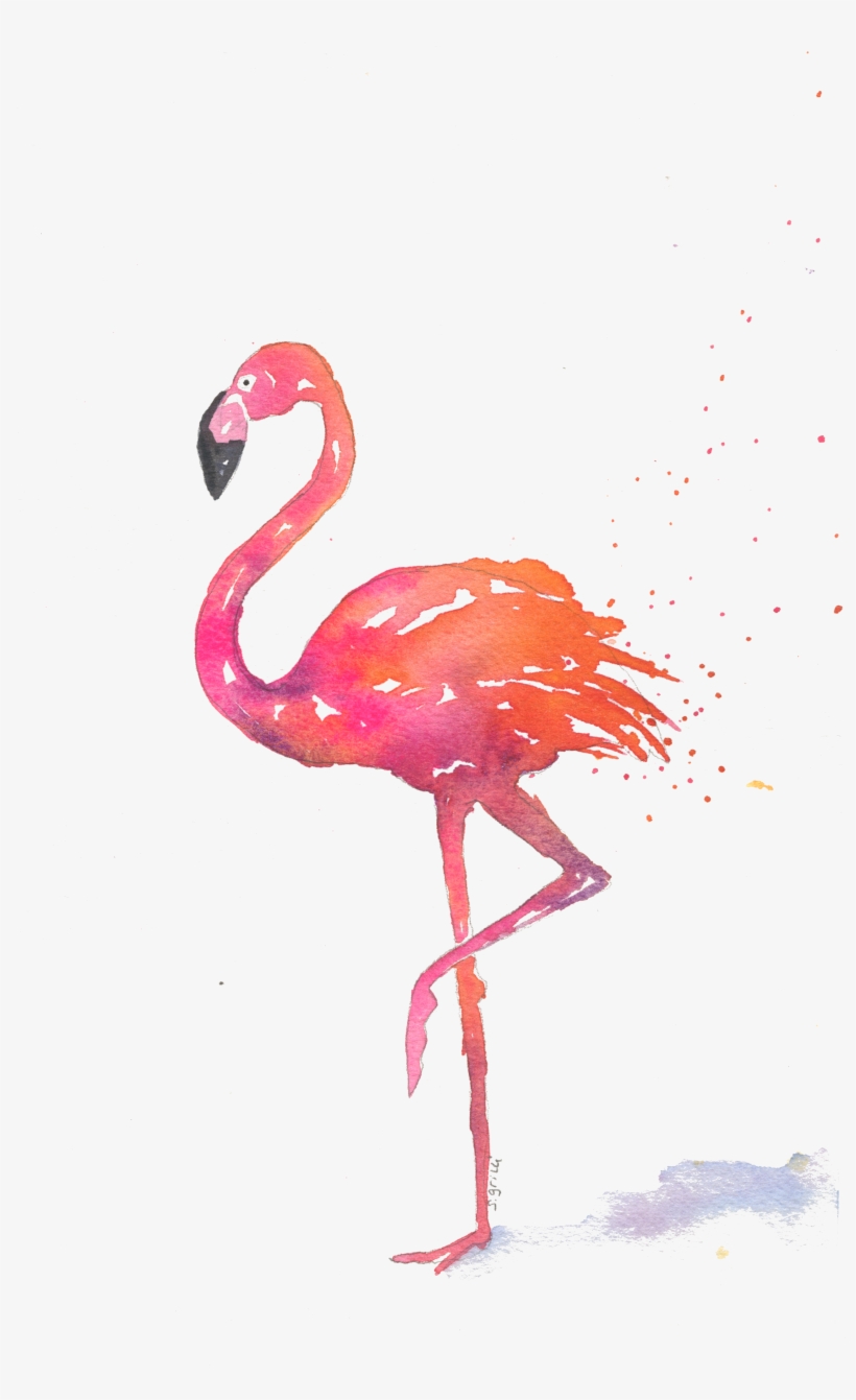 Home>note Cards>summer Theme Note Cards - Greater Flamingo, transparent png