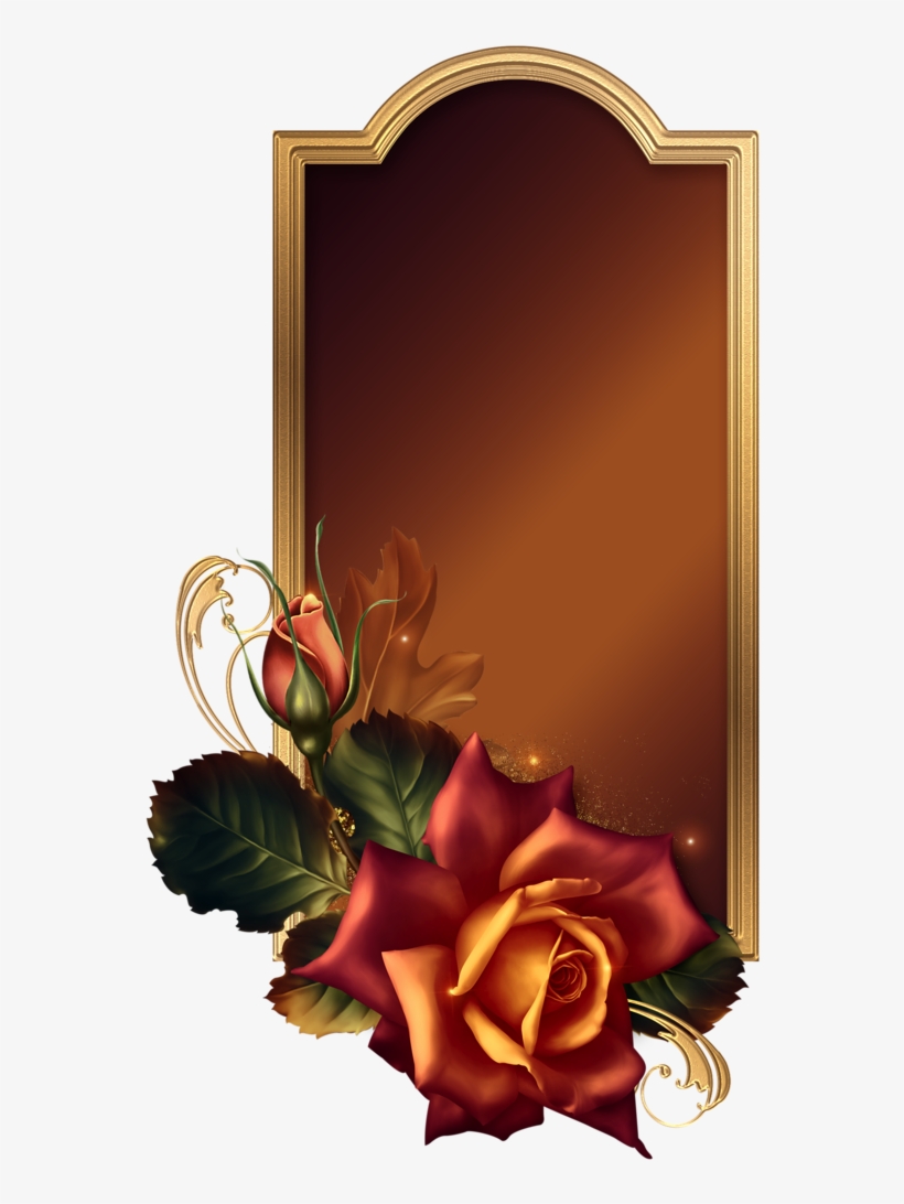 November Embers November, November Born - November, transparent png