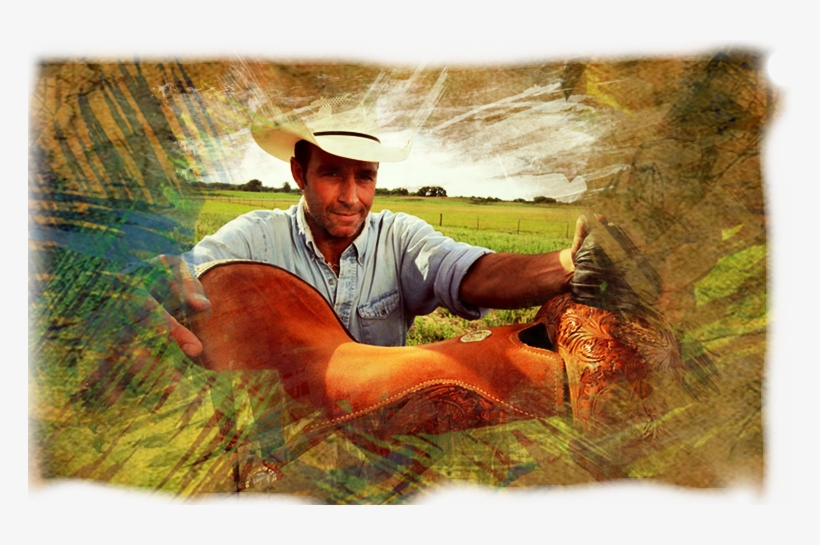 Meet Tom Mcmillan @tmkansas Star Of @tomswildlife On - Painting, transparent png