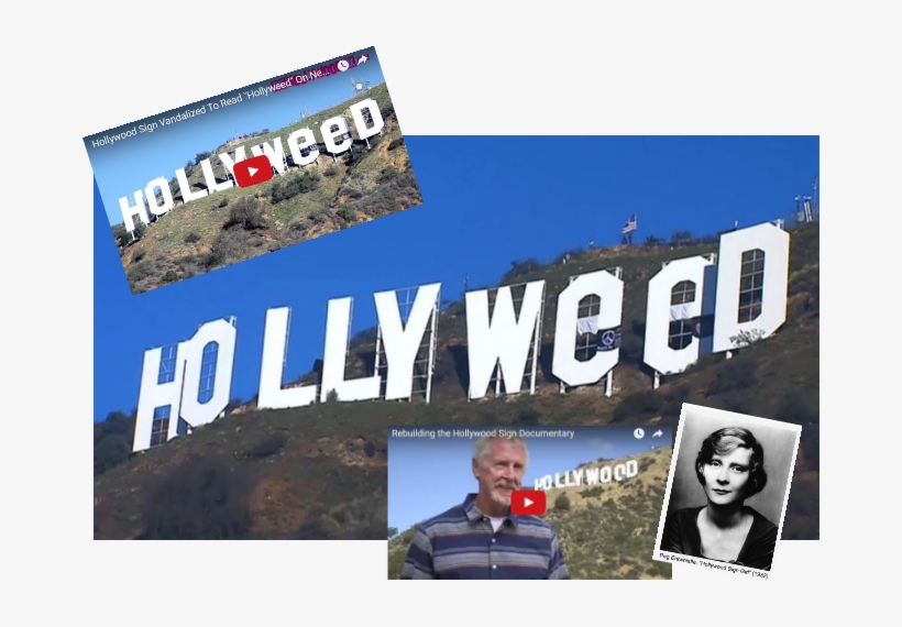 Prankster Changes Famous 'hollywood' Sign To 'hollyweed' - Hollywood Sign, transparent png