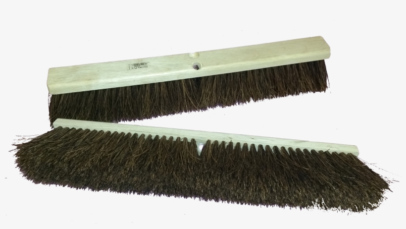 Palmyra-broom - Eyelash Extensions, transparent png