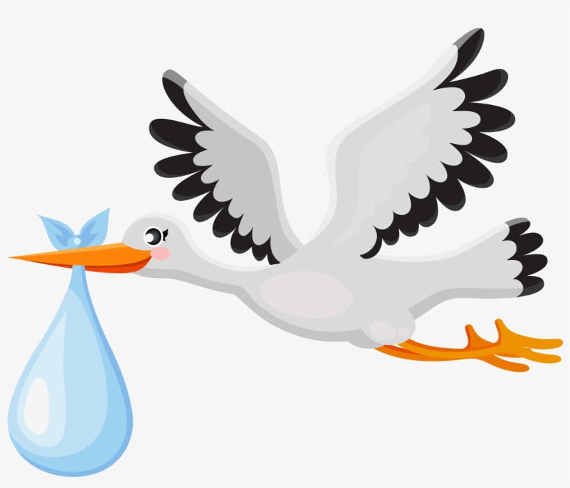 Stork Png, transparent png
