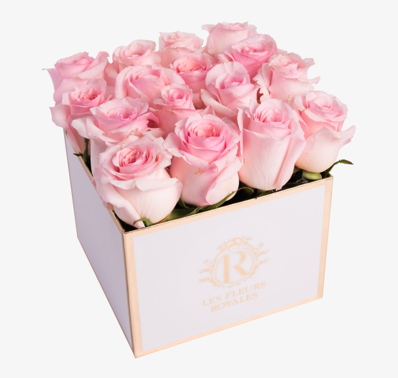 Rose Petal Pink - Garden Roses, transparent png