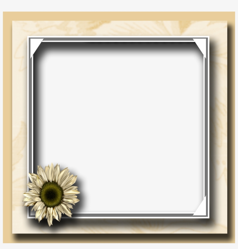 Flower Photo Frame Png - Flower Photo Frame, transparent png
