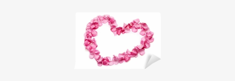 Heart, transparent png