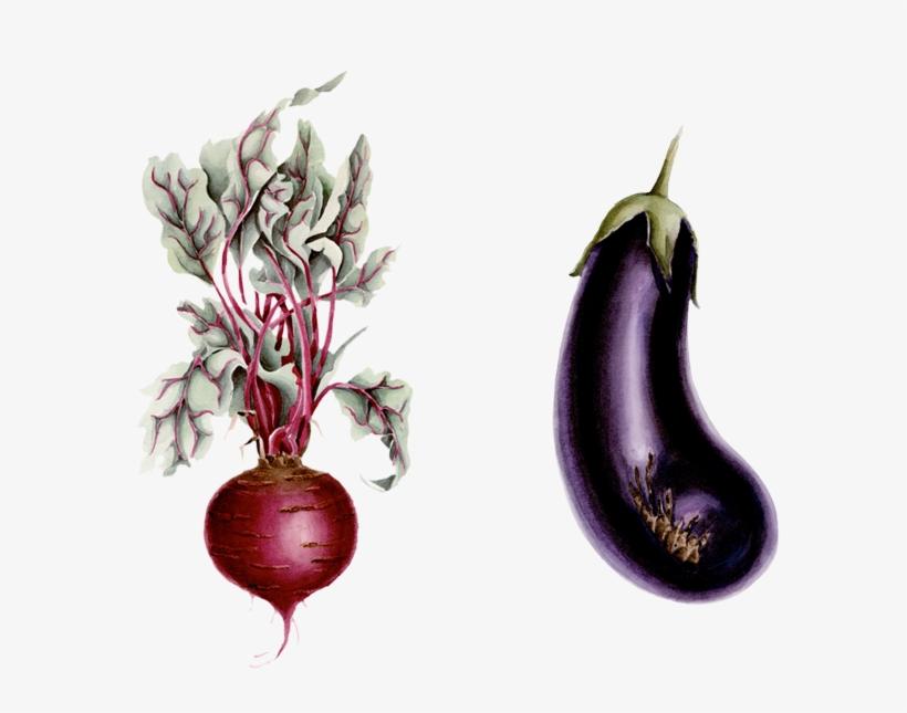 Watercolor Illustrations, Patterns, Design & Layout - Watercolor Painting, transparent png