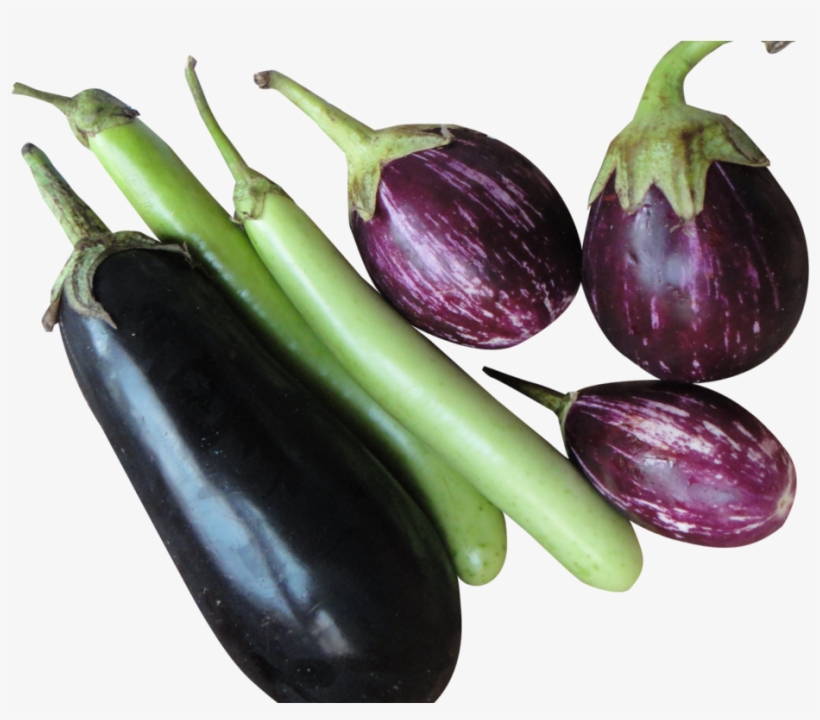 Brinjal Eggplant Png Image - Brinjal Png, transparent png