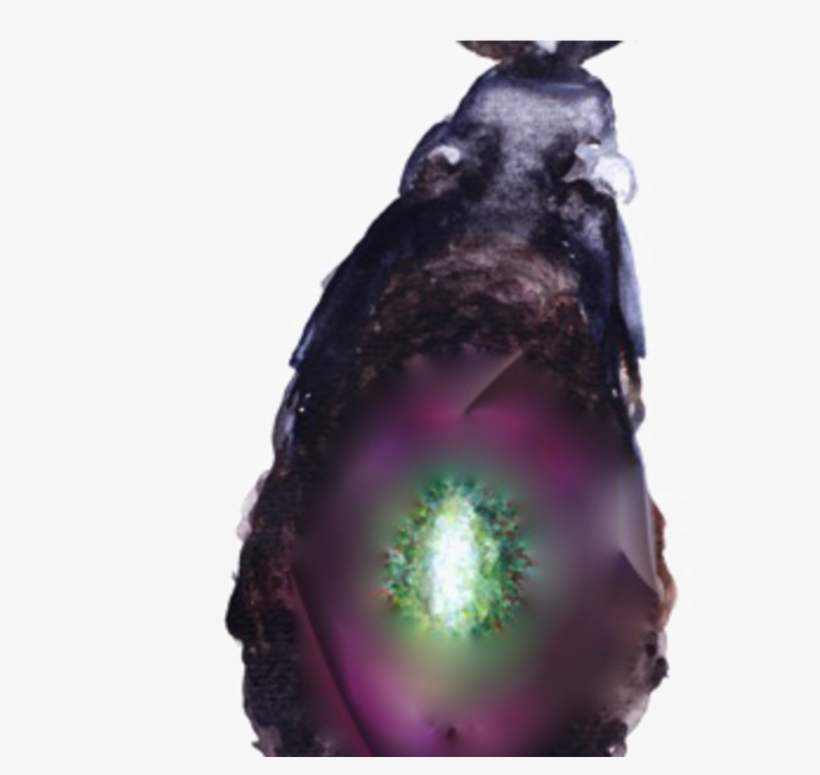 Beetle, transparent png