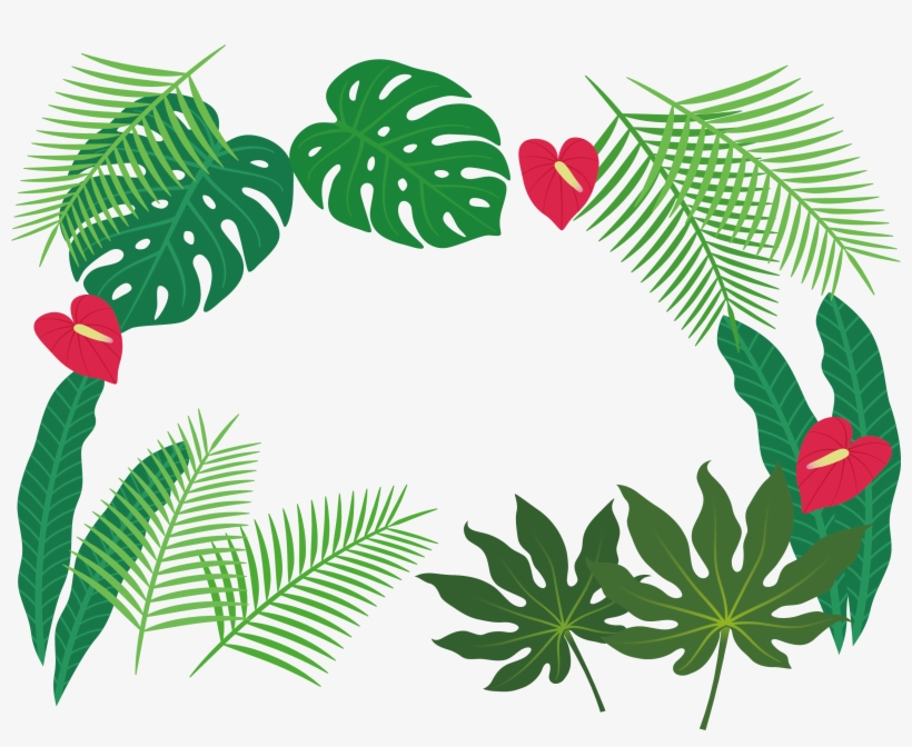 Clip Art Plant Leaves - Tropical Leaves Borders Png, transparent png