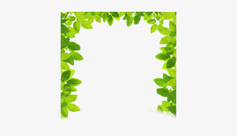 Printemps Cadre Green Leaves Border Frame Spring - ブッダの優しい論理学: 争わない対話術, transparent png