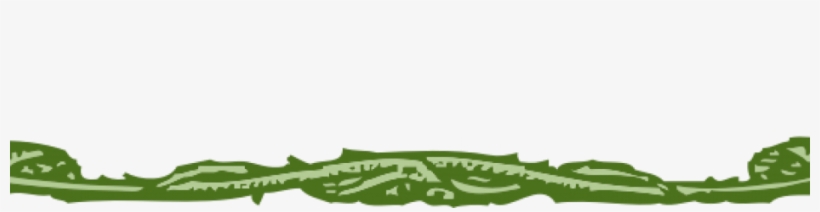 Johnny Automatic Leaf Border - Common Ivy, transparent png