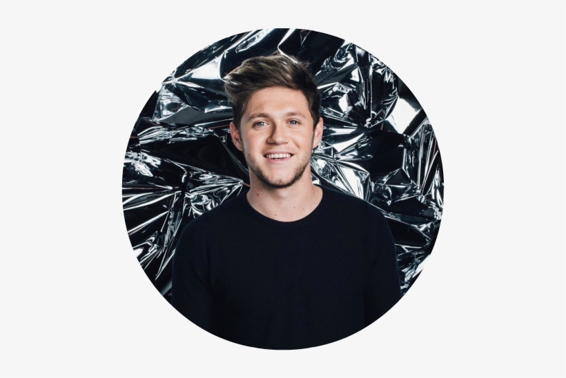 Niall Horan Affiliate - Niall Horan 2017 Photoshoots, transparent png